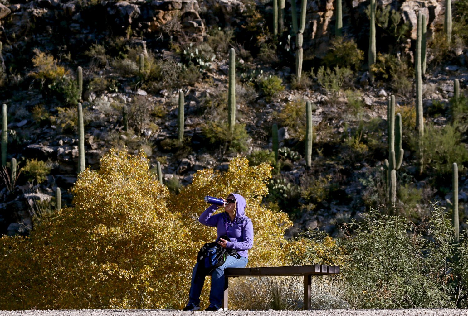Hiking Sabino